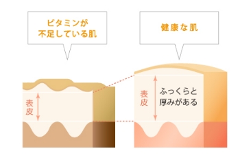 すこやかな肌のコンディションへ