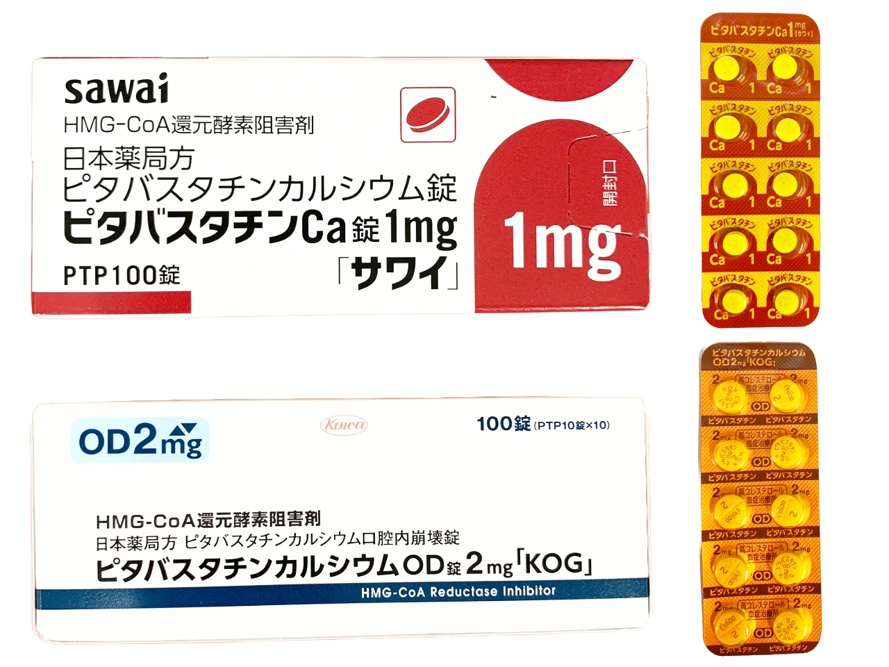 活動歴および当時の関連ビジュアル記録